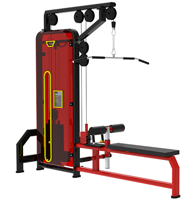 Lat Pull Down & Low Row